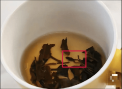 比2023年.1亿元；占总营收的36.76%