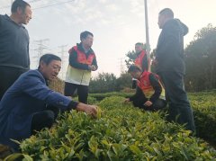 政策宣讲、现场答疑等形式